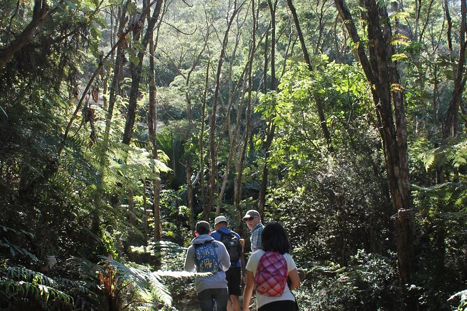 Coromandel Coastal Walkway Day Tour Ex Colville - Additional Activities Available