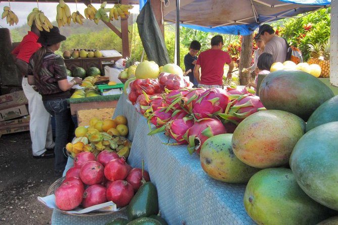 Custom Island Tour - for 4 to 5 People - up to 8 Hours - Private Tour of Oahu - Notable Guides and Reviews