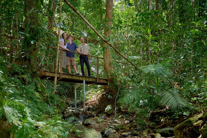 Daintree Rainforest and Cape Tribulation Day Tour From Cairns - Local Attractions to Explore