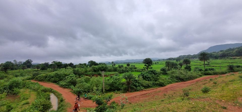 Daringbadi Delight: Immerse in Authentic Rural Odisha Exper - Frequently Asked Questions