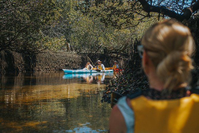 Dolphin Sanctuary Kayak Tour Adelaide - Additional Information