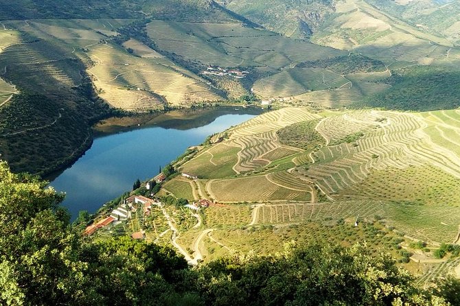 Douro Valley Wine Tour With Friends & Traditional Lunch - Tips for a Memorable Experience