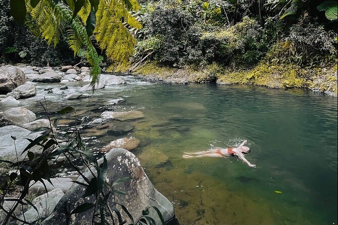 El Yunque National Forest Guided Tour With Transport - Tips for Participants