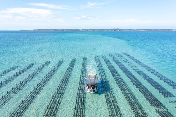 Experience Coffin Bay Oyster Farm and Bay Tour - Wildlife Sightings During the Tour