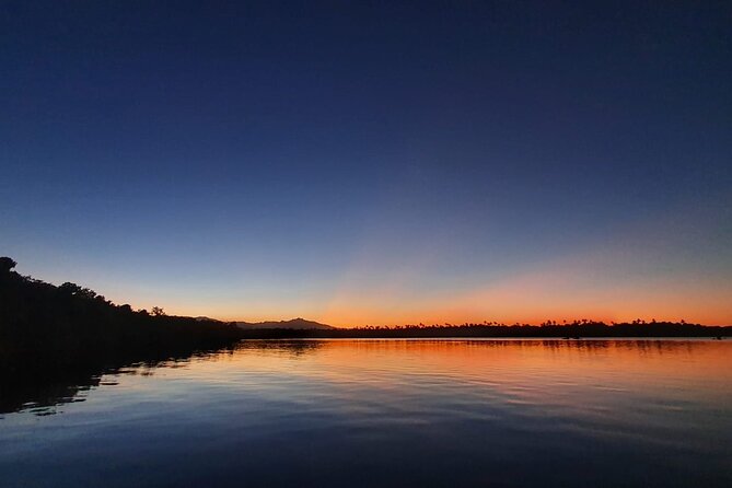 Fajardo Bioluminescent Bay Night Kayak Adventure From San Juan - Tips for a Great Experience