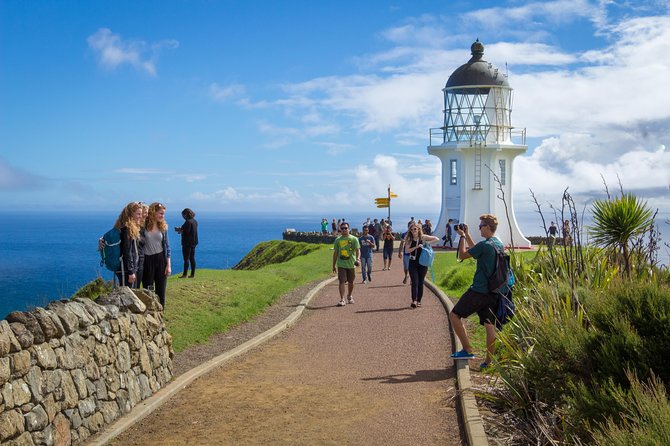 Far North New Zealand Tour Including 90 Mile Beach and Cape Reinga From Paihia - Travel Tips and Recommendations