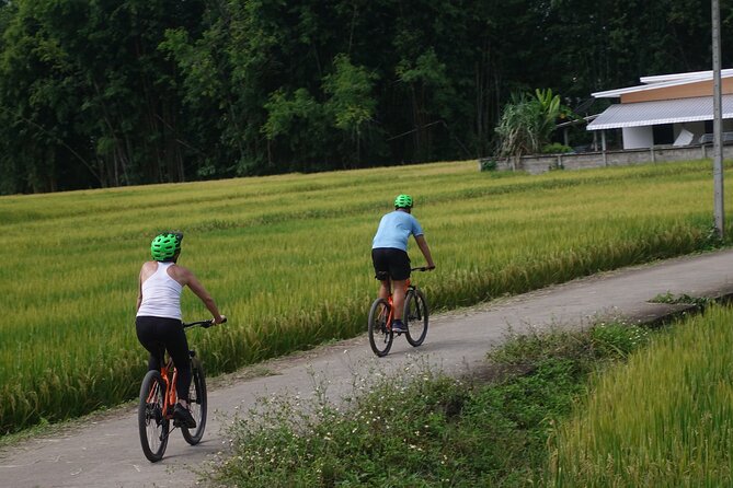 FIELDS OF GOLD Mountain Biking Tour Chiang Mai - What to Expect