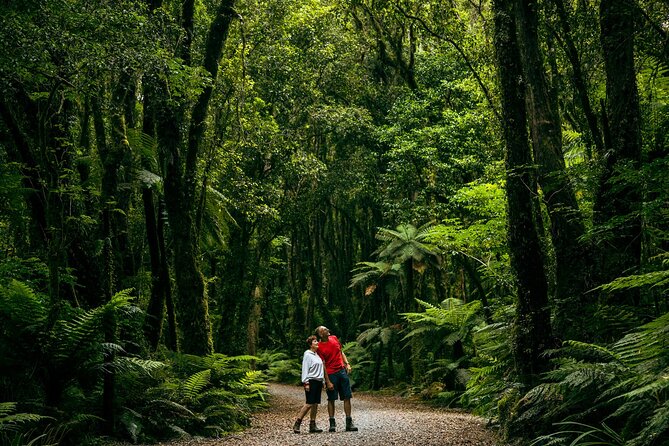 Fox Glacier Nature Tour - How to Book Your Tour