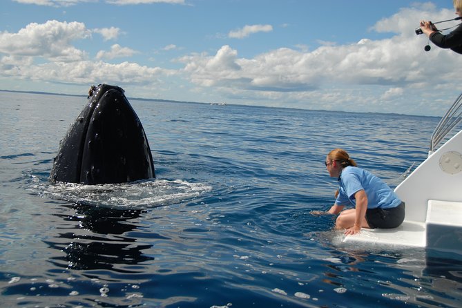 Fraser Island Whale Watch Encounter - Additional Amenities