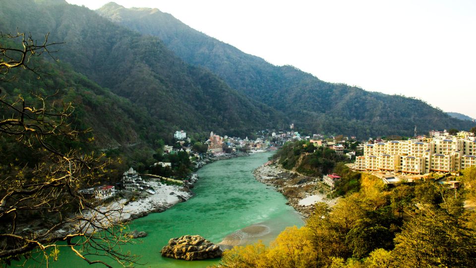 From Delhi: Private Day Tour to Haridwar and Rishikesh - Pricing and Booking Options