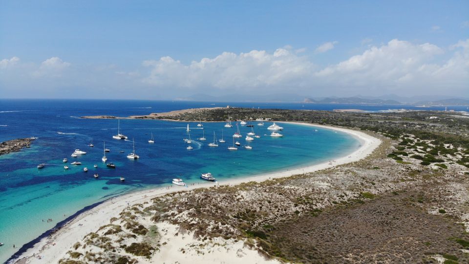 From Ibiza: Full-Day Sailing Tour to Formentera - Sailing to Formentera