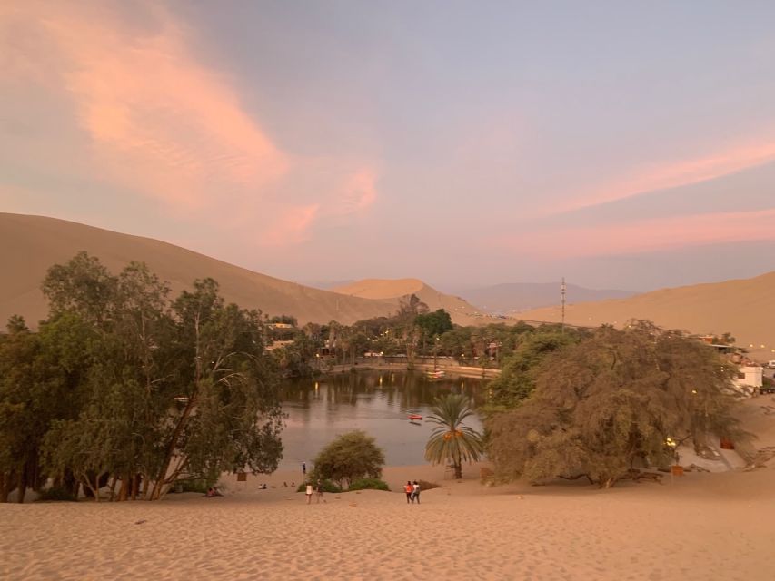 From Lima: Ballestas Islands, Huacachina, and Vineyard Tour - Customer Feedback and Ratings