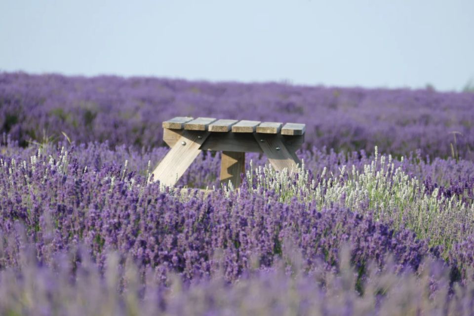 From London: Cotswolds, Country Pub Lunch & Lavender Fields - Frequently Asked Questions