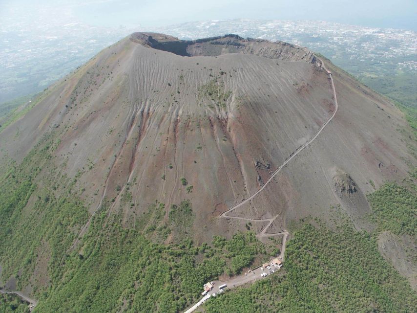 From Naples: Pompeii and Vesuvius Guided Day Trip With Lunch - Customer Reviews and Ratings