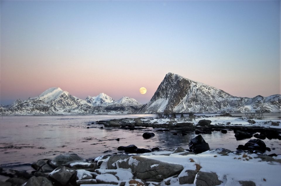 From Svolvaer: Lofoten Islands Tour With Photographer Guide - Frequently Asked Questions