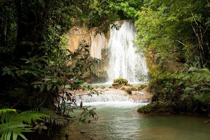 Full Day Excursion to Samaná From Punta Cana - Tips for a Great Experience
