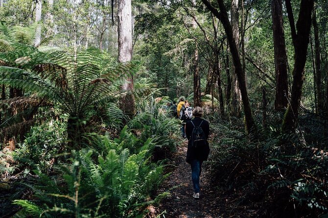 Full-Day Guided Bruny Island Tour From Hobart - Booking and Cancellation Policy