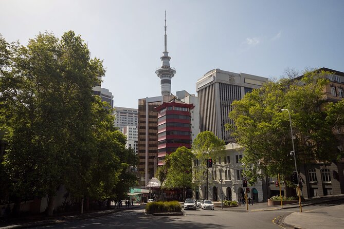 Full Day Private Shore Tour in Auckland From Bay of Islands Port - Pricing Information