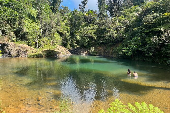 Full-Day Tour of Guavate and Charco Azul in Puerto Rico - Preparing for Your Adventure