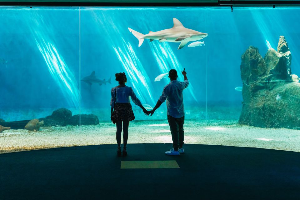 Genoa: Aquarium of Genoa Timeslot Entry Ticket - Tips for Your Visit