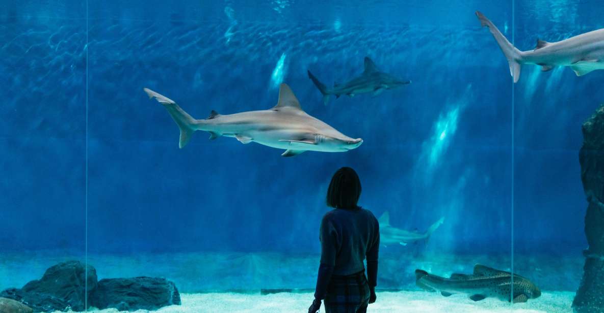 Genoa: Aquarium of Genoa With Lunch - Visitor Feedback Insights