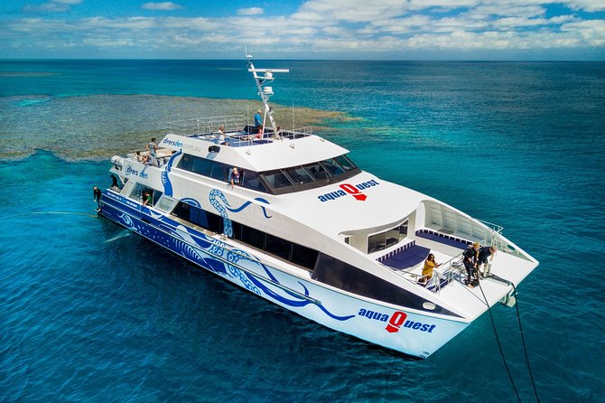 Great Barrier Reef Diving and Snorkeling Cruise From Cairns - Diving and Snorkeling Tips