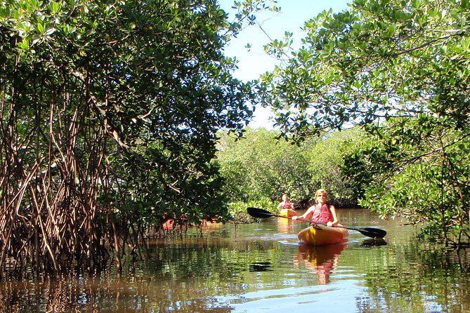 Guided Kayak Eco Tour - Bunche Beach - Pricing and Cancellation Policy