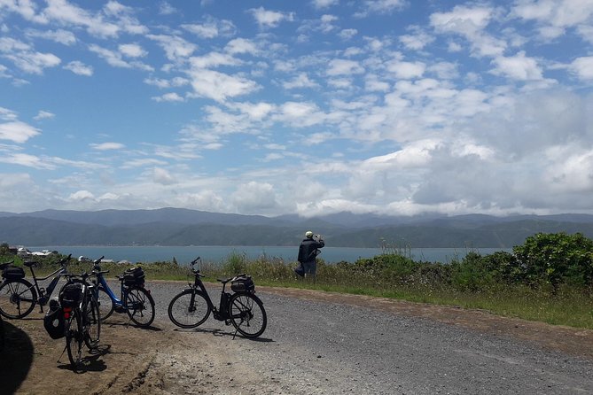 Guided Wellington Sightseeing Tour by Electric Bike - Tips for a Great Ride