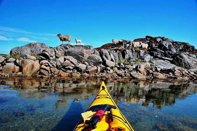 Half Day Kayak - Northern Explores AS - Booking Information