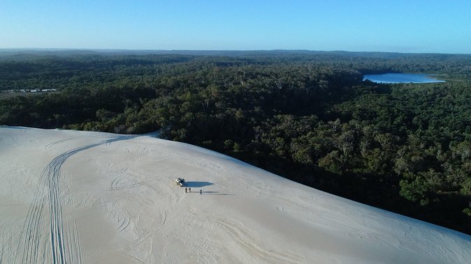 Half-Day Pemberton National Parks Beach and Forest Eco Adventure - Tips for an Enjoyable Experience