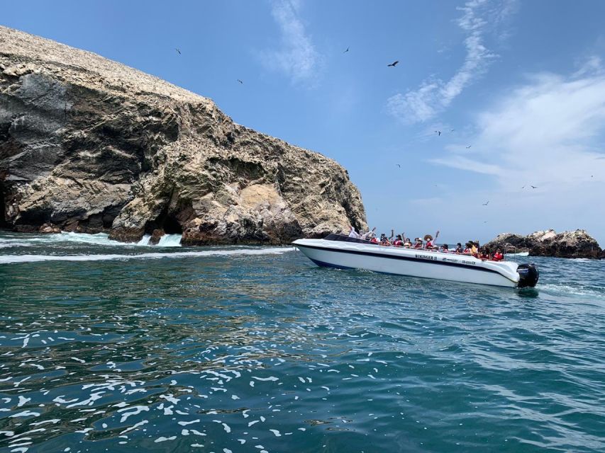 Half Day Tour: Ballestas Islands & Paracas Natural Reserve - Accessibility Options