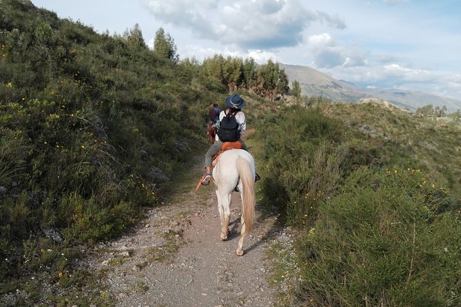 Horseback Riding Through Four Hidden Temples of the Inkas - Guest Reviews and Experiences