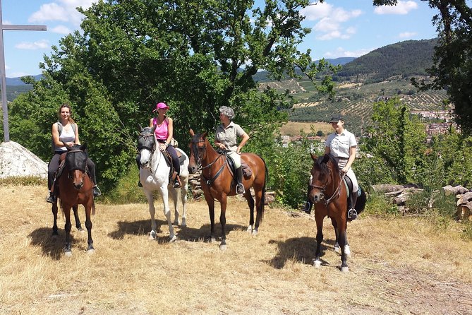 Horseback Riding & Wine Tasting and Snack Lunch at Noble Estate - Tips for Your Visit