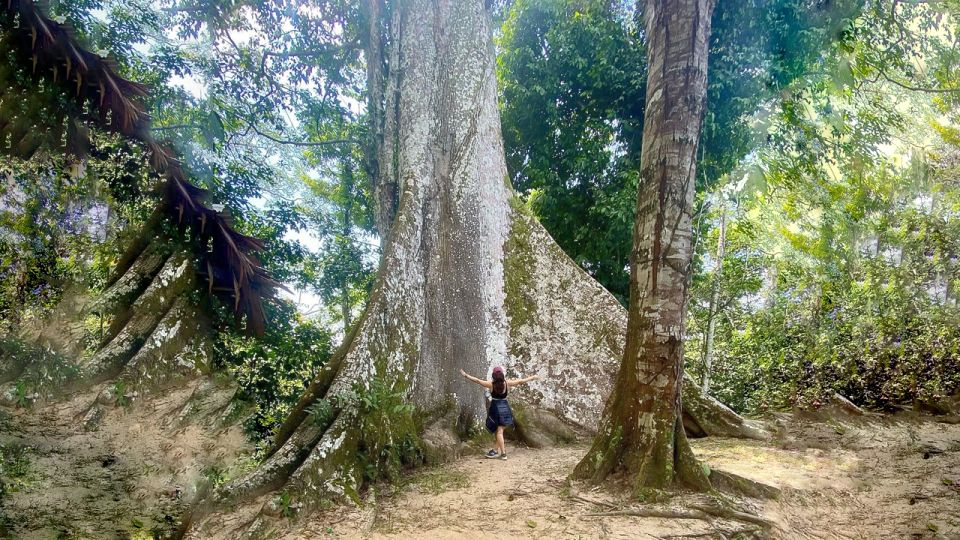 Iquitos: 6-Hour Wonderful Wildlife Guided Tour - Health and Safety Considerations