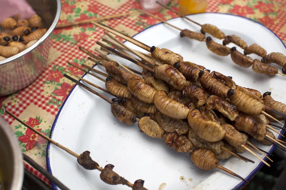 Iquitos: Visit the Exotic Belén Market + Venice Loretana - Booking Your Adventure