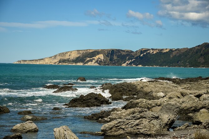 Kaikoura Day Tour With Whale Watching From Christchurch - Tips for a Great Experience