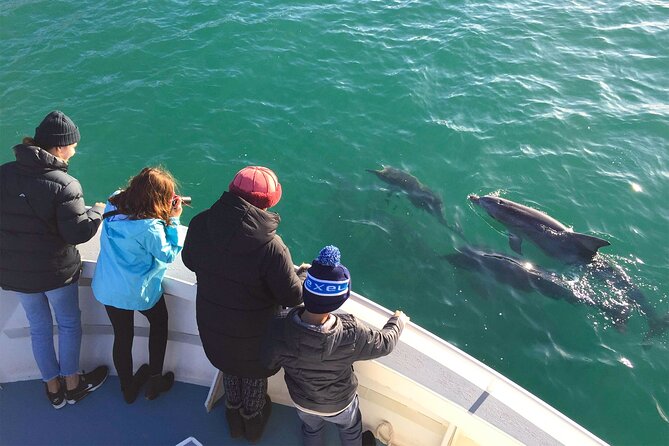 Kangaroo Island 75-Minute Coastal Safari - Weather Considerations