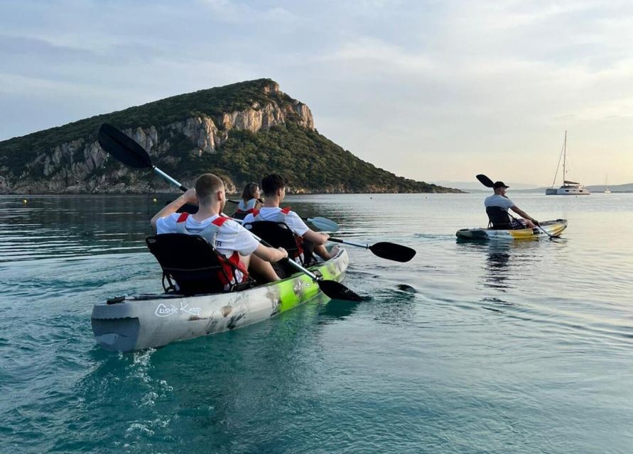 Kayak Tour in Cala Moresca - Aperitif and Dolphin Watching - Customer Reviews