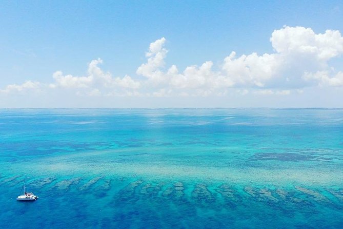 Key West Snorkeling With Breakfast and Unlimited Mimosas - Tips for a Smooth Experience