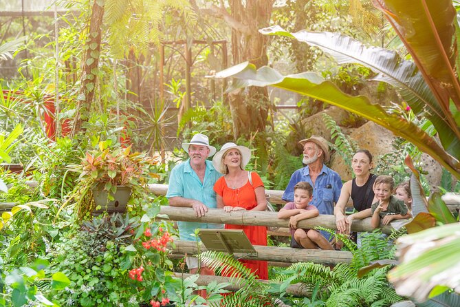 Kuranda Day Trip From Port Douglas by Bus - Additional Activities in Kuranda