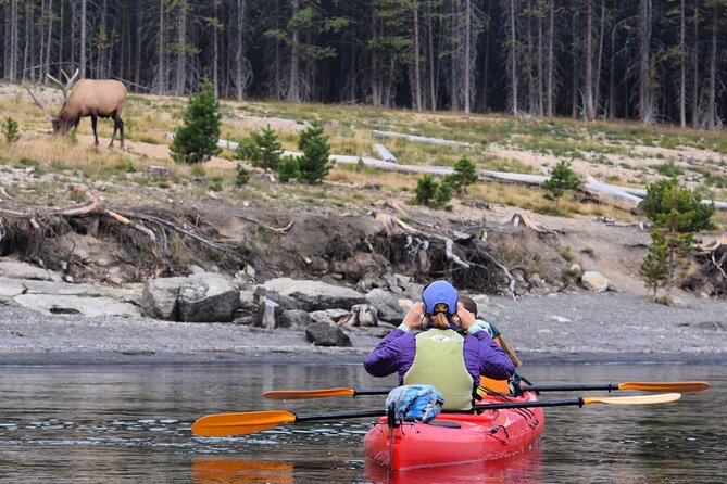 Lake Yellowstone Half Day Kayak Tours Past Geothermal Features - Wildlife Watching Opportunities