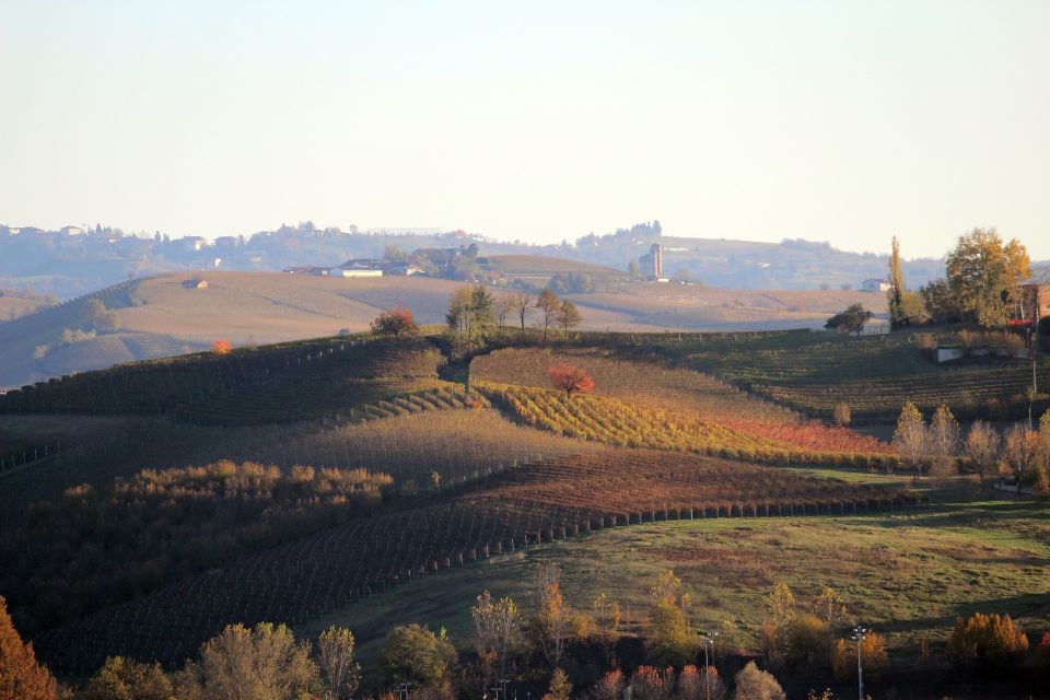 Langhe: Winery Tour and Wine Tasting - Booking Information and Policies