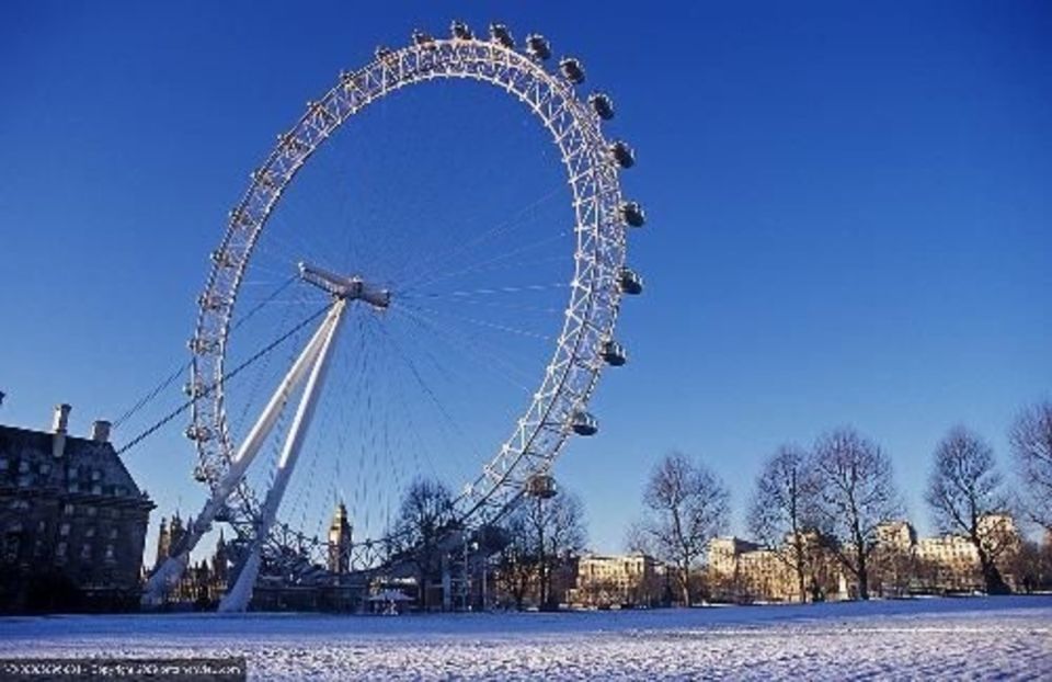 London: Sights and Sounds of Christmas Guided Half-Day Tour - Cancellation Policy