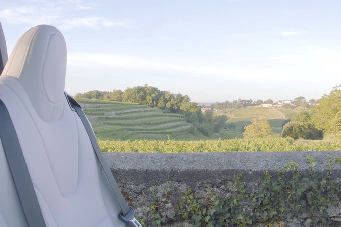 Luxurious Full Day Bordeaux Wine Tour in a Tesla - Local Wine Insights