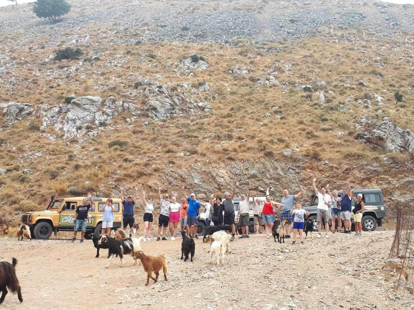 Malia: Paradise of Eastern Crete (Family and Child Friendly) - Elounda Swim and Cuisine
