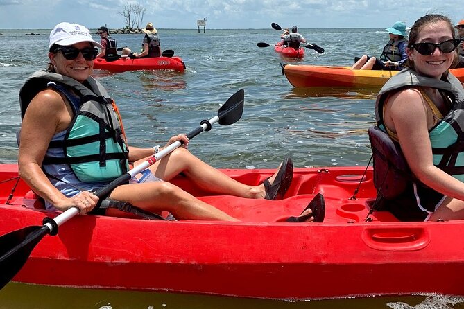 Manatee and Dolphin Kayaking Encounter - Tips for a Successful Trip