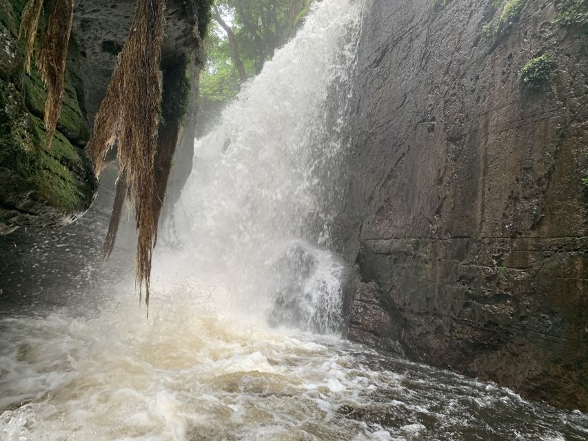 Manaus: Presidente Figueiredo Caves and Waterfalls Tour - Local Cuisine Experience