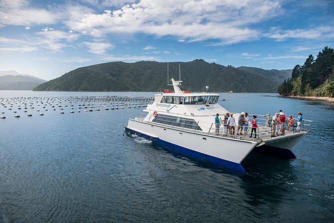 Marlborough Icons Tour - Wine Tasting + Cruise - Customer Experiences