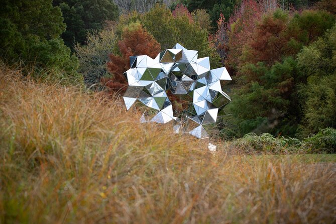 Matakana Art & Vineyard Experience Incl. Lunch & Wine Tasting Tour From Auckland - Guest Reviews and Experiences