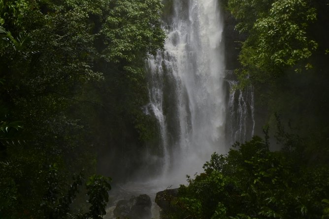 Maui Shore Excursion : Road to Hana Tour From Kaanapali - Traveler Reviews and Feedback